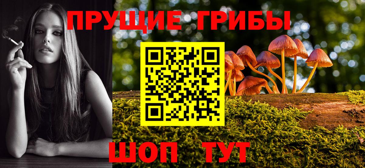 Псилоцибиновые грибы мухоморы  Вход с VPN  наркотики  Краснодар 
