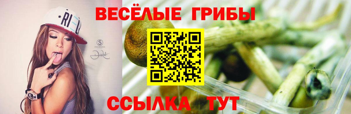 Галлюциногенные грибы Magic Shrooms Краснодар
